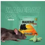 Raticida Maderat GS Premium 20gr Isca Rato Dose Unica Dipil