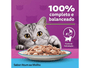 Sache Ração Úmida Gato Gourmet Atum ao Molho 85g