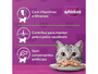 Sache Ração Úmida Gato Gourmet Atum ao Molho 85g