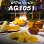 SEMENTE DE MILHO HIB AG - 1051 - 5KG