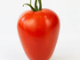 Semente Tomate Híbrido Paron Oxy Syngenta 1000 Sementes