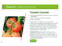 Sementes Importadas de Tomate Hibrido Coronel 1000 Sementes - Seminis