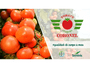 Sementes Importadas de Tomate Hibrido Coronel 1000 Sementes - Seminis