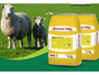 Suplemento Mineral para Bovinos 5Kg - Minercorte