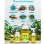 Termifin Spray - 250 ML