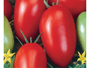 Tomate Italiano Hib Candieiro 1000 Sementes Topseed Premium
