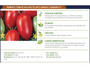 Tomate Italiano Hib Candieiro 1000 Sementes Topseed Premium