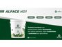 Uptec Alface HD1 20Kg - Tecseed