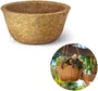 Vaso Cuia Com Fibra De Coco Grande  - Jardim Nutriplan