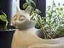 Vaso Nutriplan Planta Mascote Gato Plastico Decoração 30cm